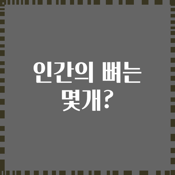 인간의 뼈는 몇개?