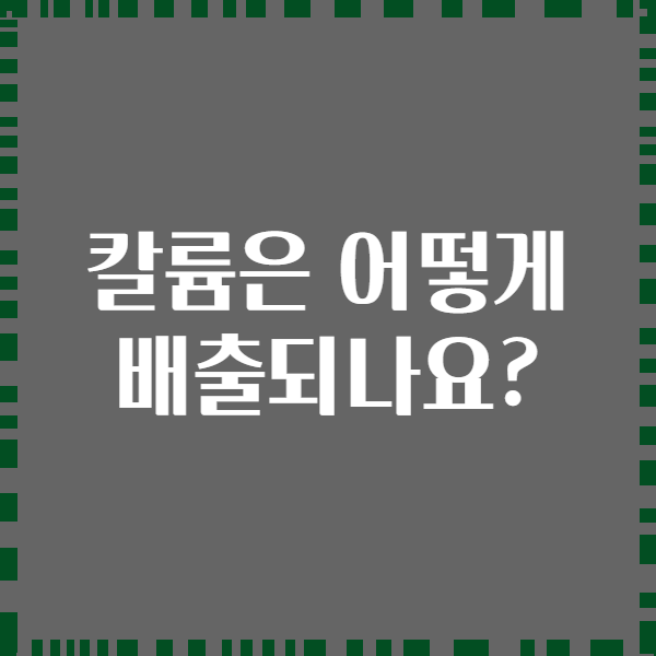 칼륨은 어떻게 배출되나요?
