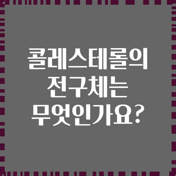 콜레스테롤의 전구체는 무엇인가요?