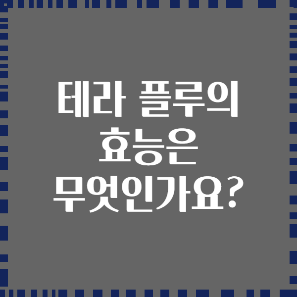 테라 플루의 효능은 무엇인가요?