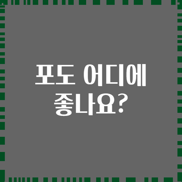 포도 어디에 좋나요?