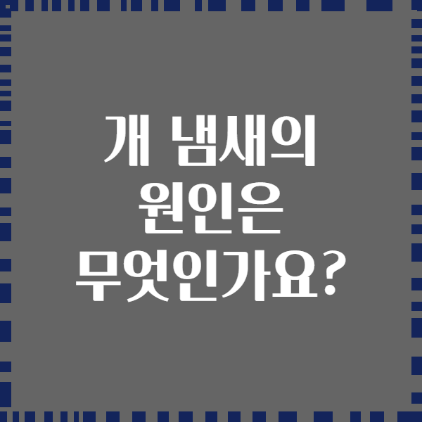 개 냄새의 원인은 무엇인가요?