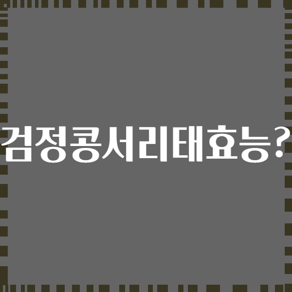 검정콩서리태효능?