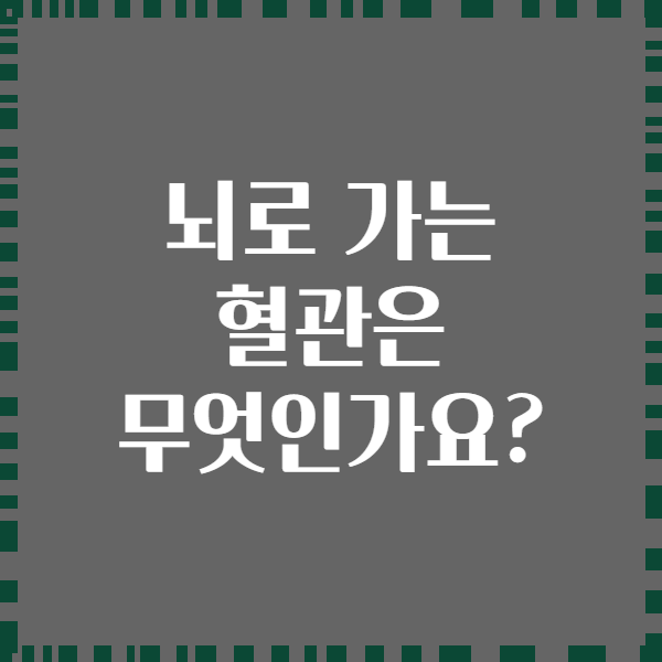 뇌로 가는 혈관은 무엇인가요?
