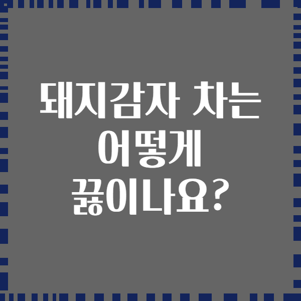 돼지감자 차는 어떻게 끓이나요?