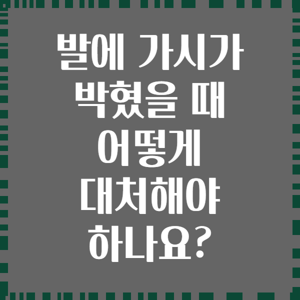 발에 가시가 박혔을 때 어떻게 대처해야 하나요?