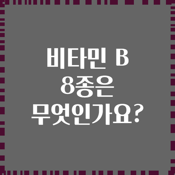 비타민 B 8종은 무엇인가요?