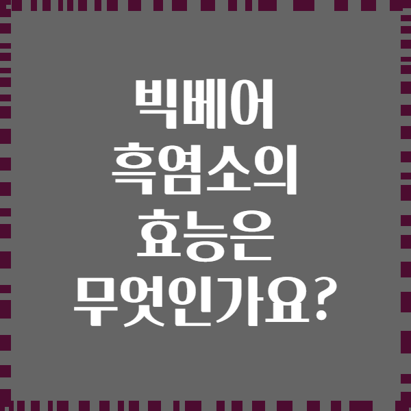 빅베어 흑염소의 효능은 무엇인가요?