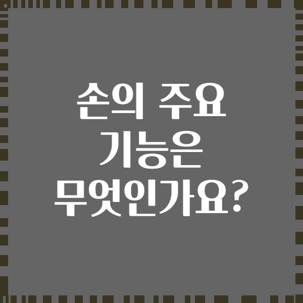 손의 주요 기능은 무엇인가요?