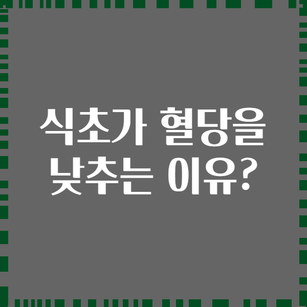 식초가 혈당을 낮추는 이유?