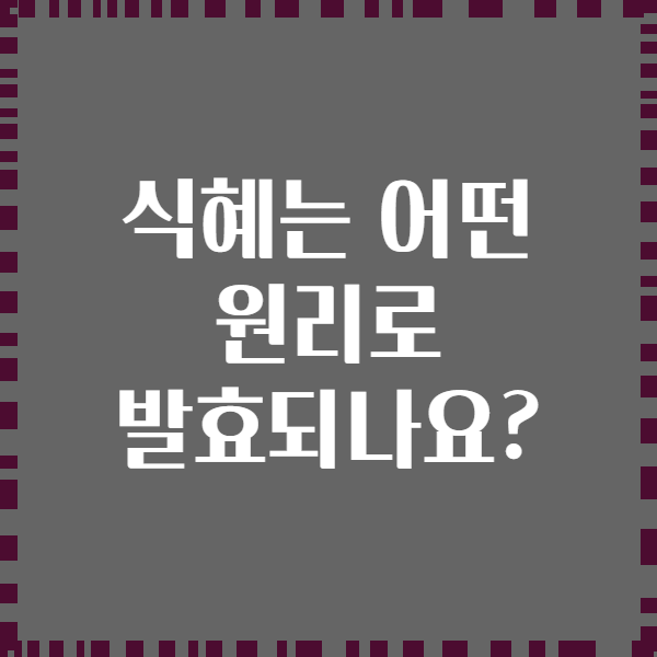 식혜는 어떤 원리로 발효되나요?