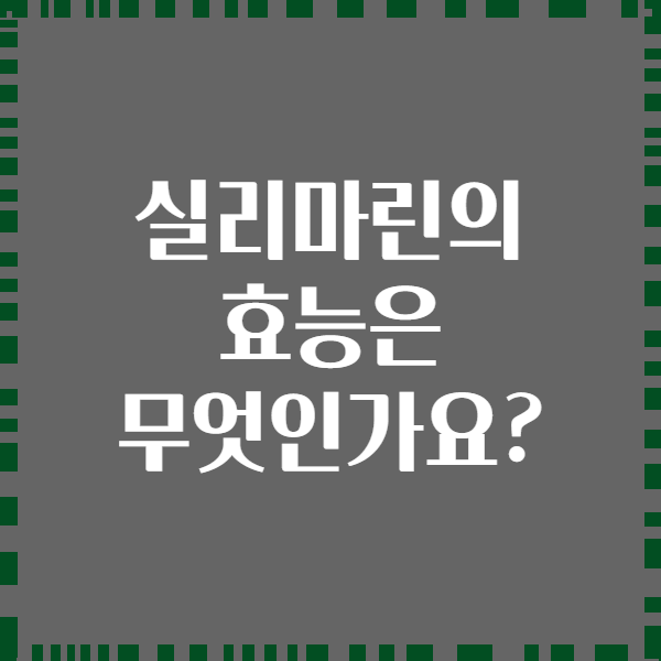 실리마린의 효능은 무엇인가요?