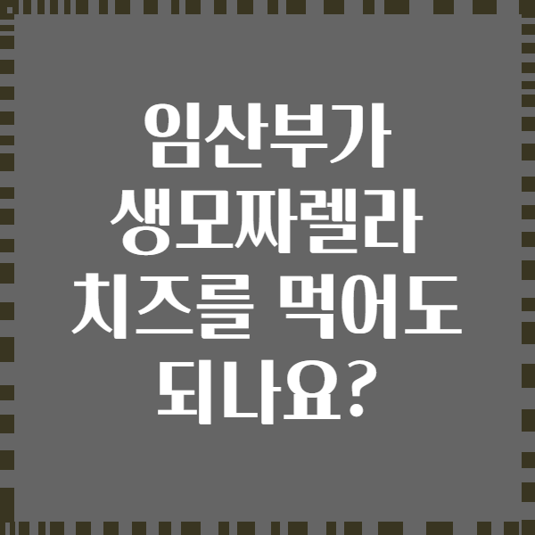 임산부가 생모짜렐라 치즈를 먹어도 되나요?