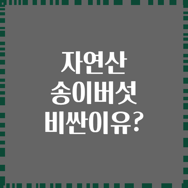 자연산 송이버섯 비싼이유?
