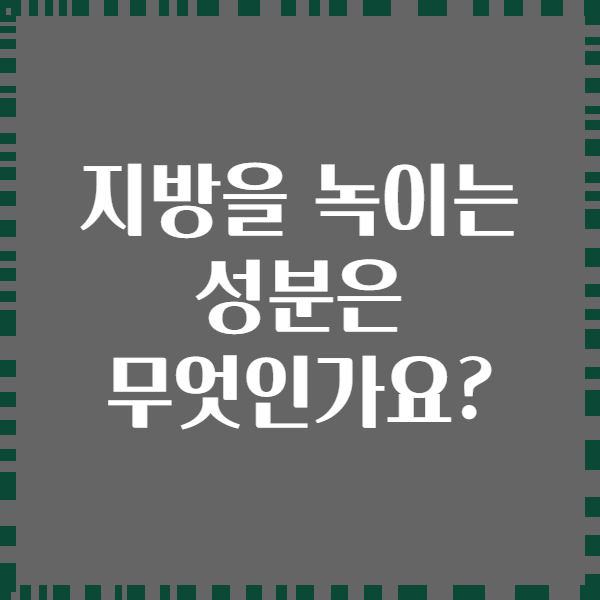 지방을 녹이는 성분은 무엇인가요?